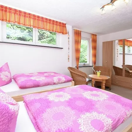 Holiday home In Wieda With Sauna *